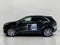 2024 Cadillac XT5 AWD 4dr Premium Luxury