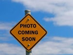 2015 Ford Explorer 4WD 4dr XLT