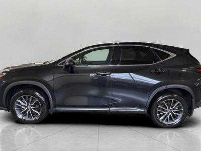 2024 Lexus NX NX 350h AWD