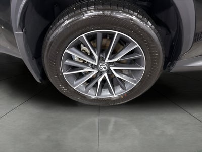 2024 Lexus NX NX 350h AWD