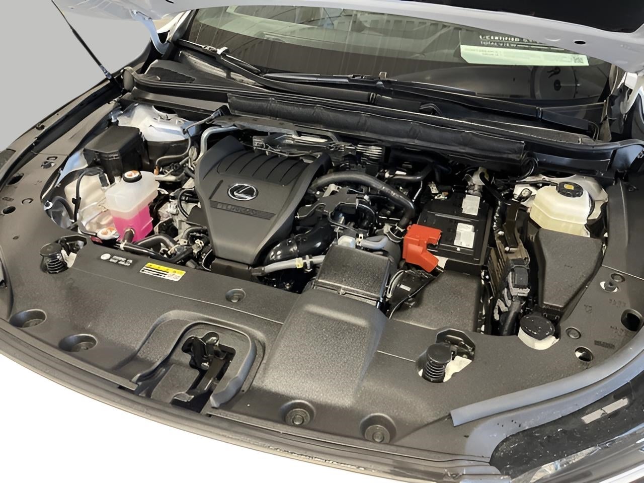 2024 Lexus RX RX 350 Premium Plus AWD