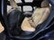 2023 Lexus RX RX 350 Premium Plus AWD