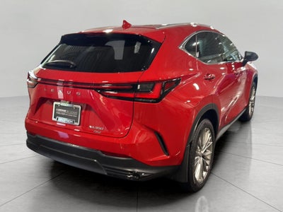 2025 Lexus NX NX 350 Premium AWD
