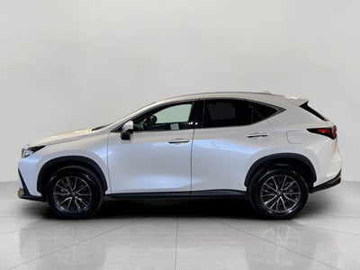 2022 Lexus NX NX 350 Premium AWD