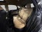2026 Lexus NX NX 350h Premium AWD