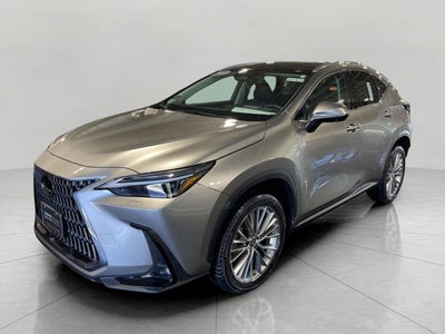 2023 Lexus NX NX 350 Luxury AWD