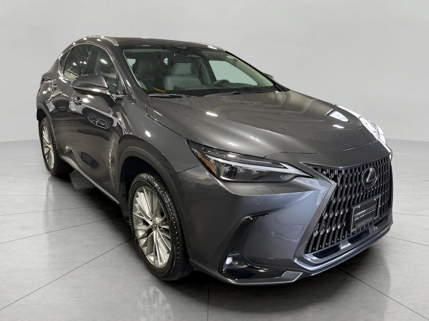 2025 Lexus NX NX 350h Luxury AWD