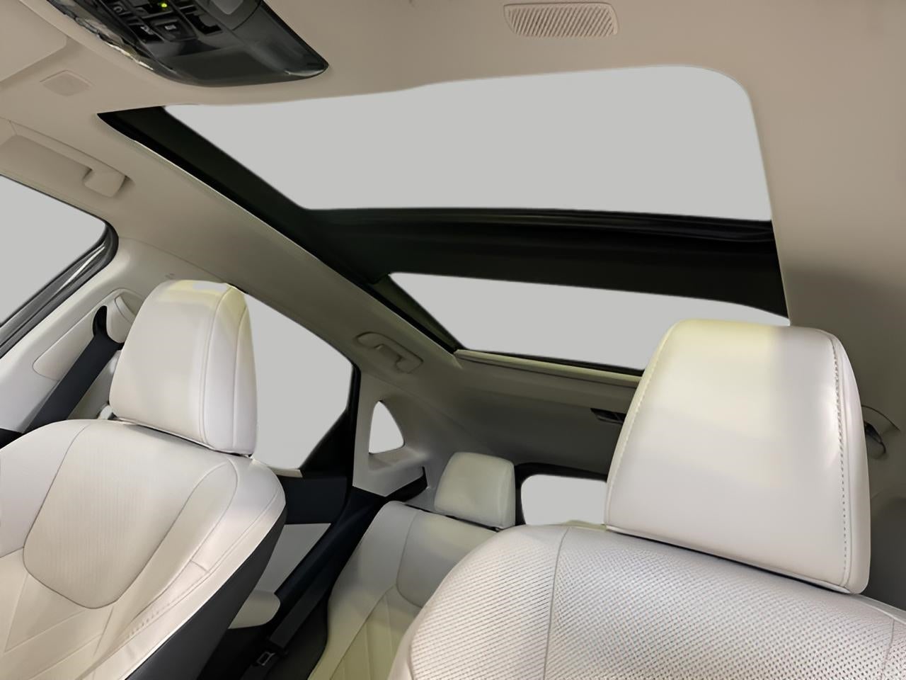 2025 Lexus NX NX 350h Luxury AWD