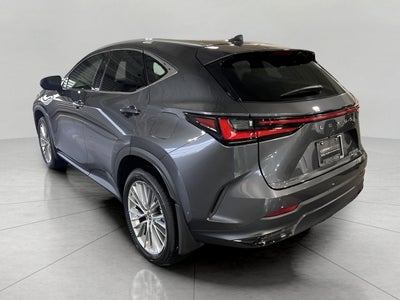 2025 Lexus NX NX 350h Luxury AWD