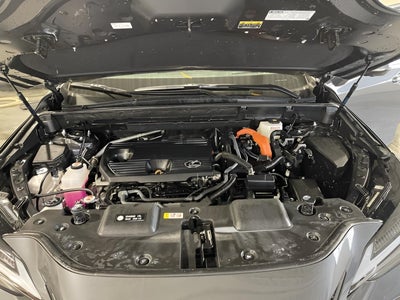 2025 Lexus NX NX 350h Luxury AWD