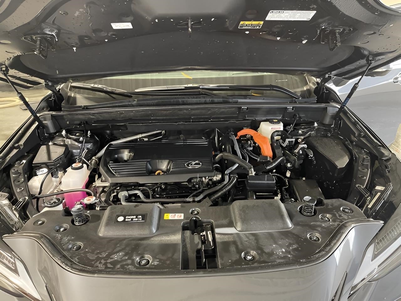 2025 Lexus NX NX 350h Luxury AWD