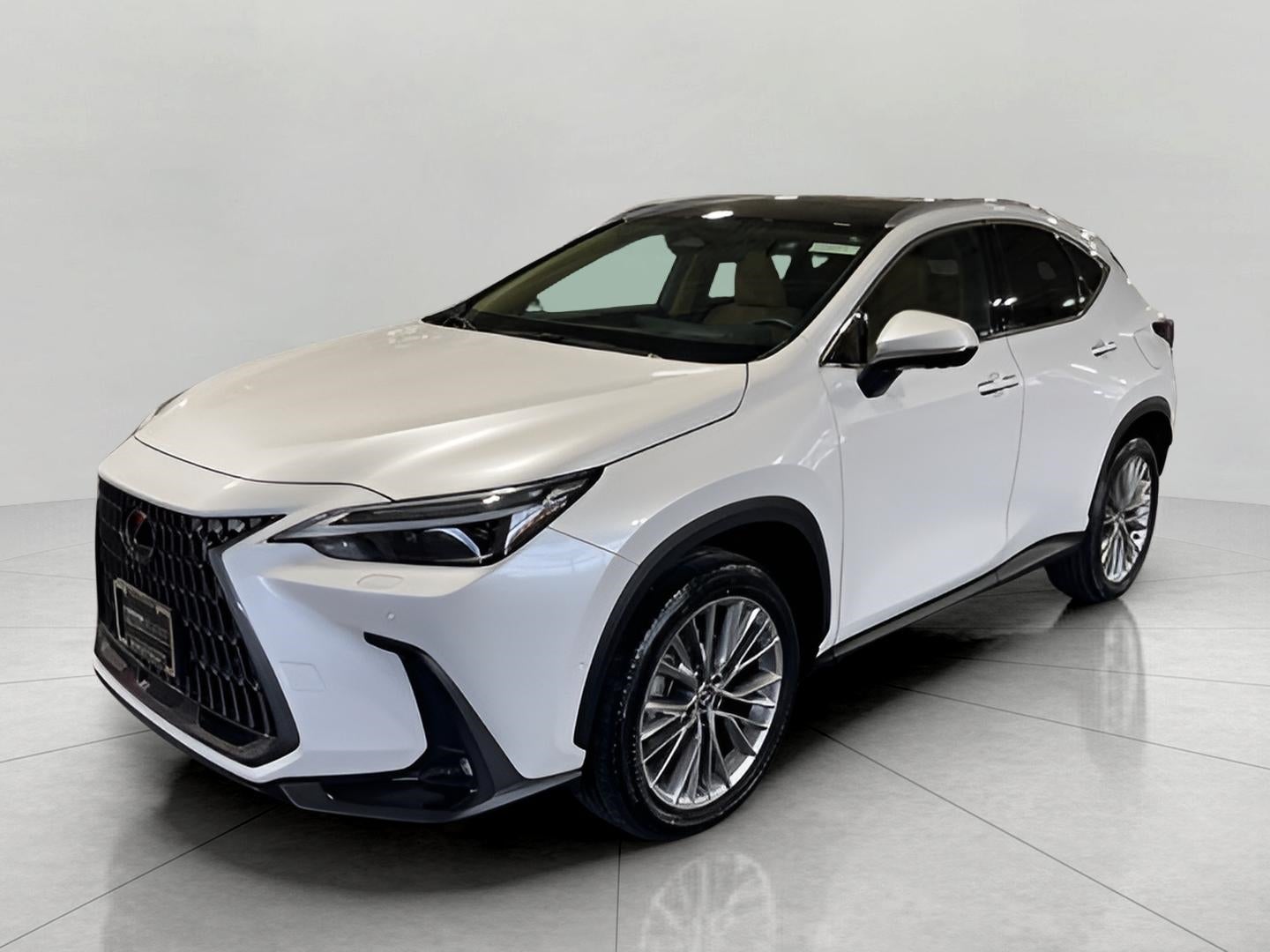 2025 Lexus NX NX 350h Luxury AWD