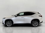 2025 Lexus NX NX 350h Luxury AWD