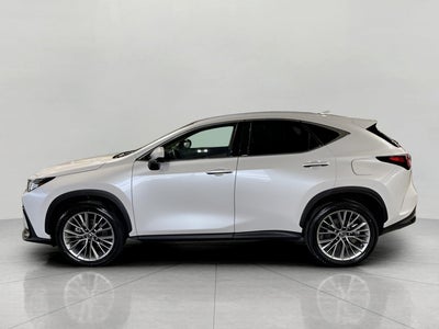 2025 Lexus NX NX 350h Luxury AWD