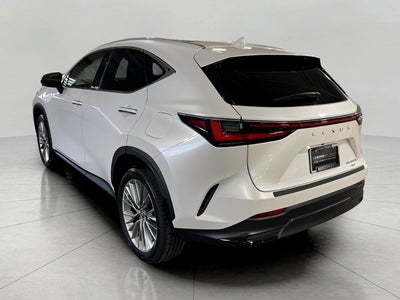 2025 Lexus NX NX 350h Luxury AWD