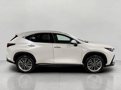 2025 Lexus NX NX 350h Luxury AWD
