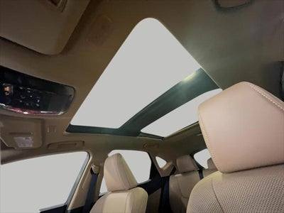 2025 Lexus NX NX 350h Luxury AWD