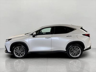 2025 Lexus NX NX 350h Luxury AWD