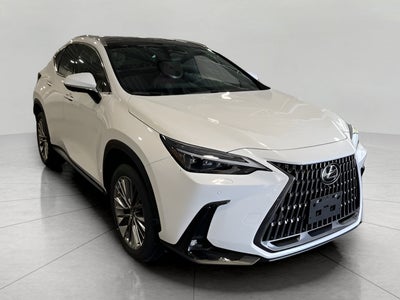 2026 Lexus NX NX 350h Luxury AWD