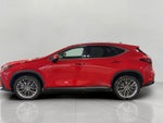 2023 Lexus NX NX 350h Luxury AWD