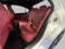 2023 Lexus IS IS 350 F SPORT AWD