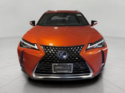 2022 Lexus UX UX 250h AWD