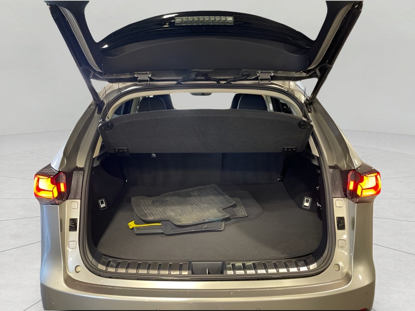 2019 Lexus NX NX 300 AWD