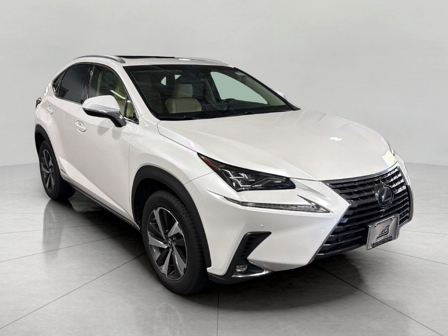 2019 Lexus NX NX 300h AWD