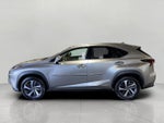 2020 Lexus NX NX 300h AWD