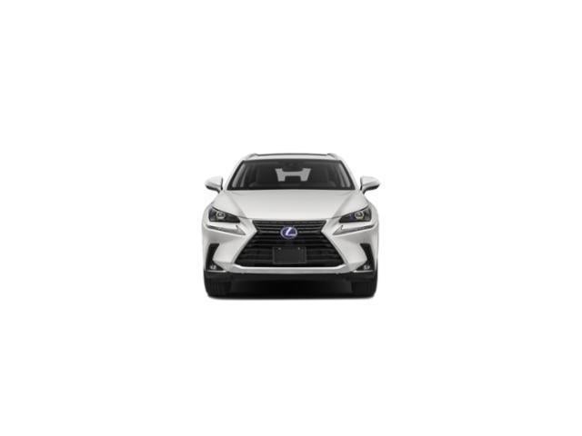 2020 Lexus NX NX 300h AWD