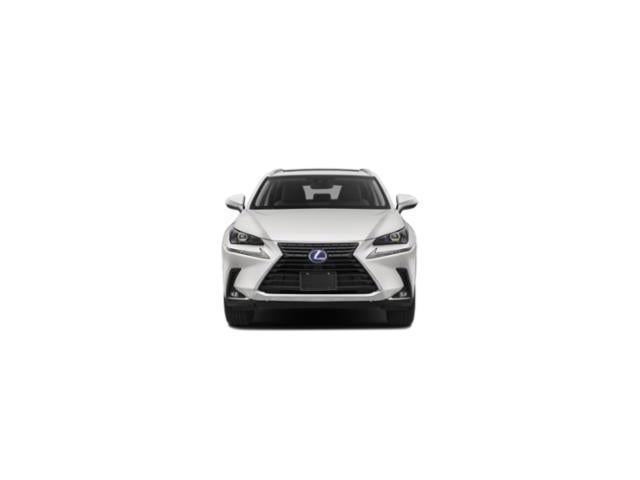 2020 Lexus NX NX 300h AWD
