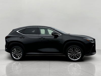 2025 Lexus NX NX 350h Luxury AWD