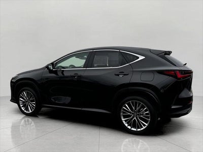 2025 Lexus NX NX 350h Luxury AWD