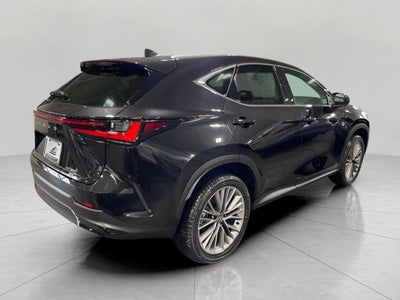 2026 Lexus NX 350 LUXURY AWD