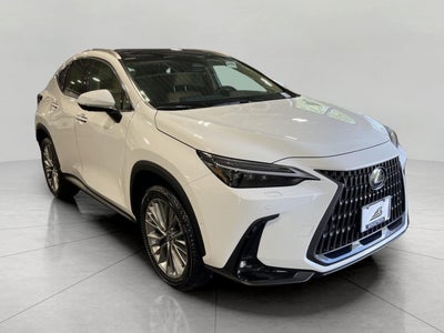 2026 Lexus NX 350 LUXURY AWD