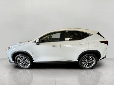 2026 Lexus NX 350 LUXURY AWD